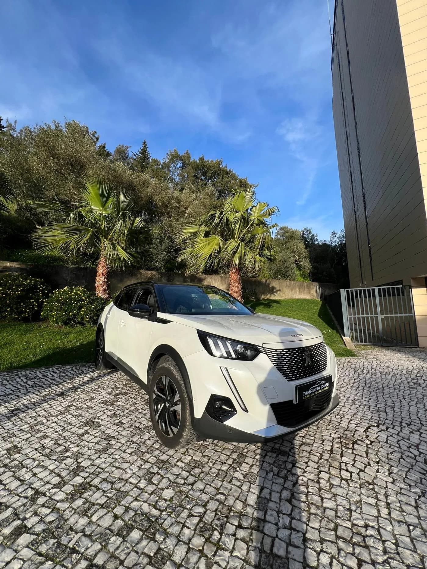 Peugeot e-2008