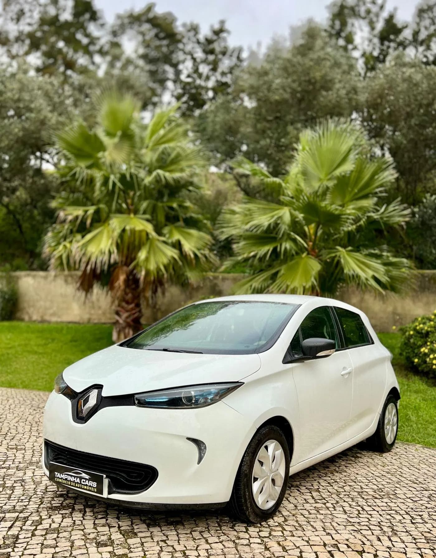 Renault Zoe R110